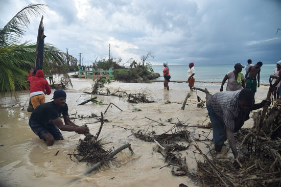 مواطنو هايتى يزيلون الأشجار التى سقطت جراء هطول الأمطار